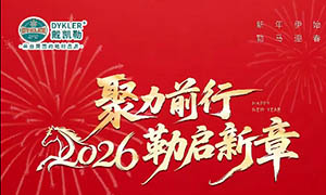 戴凱勒（山東）“聚力前行，2026勒啟新章”年度盛會